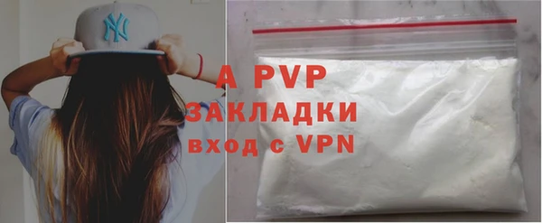стафф Арсеньев
