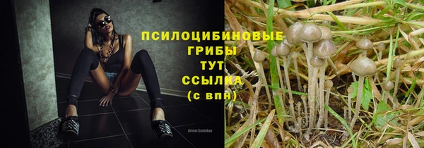 стафф Арсеньев