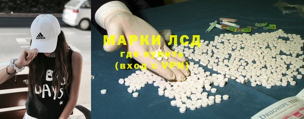 стафф Арсеньев