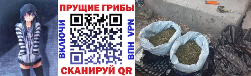 Галлюциногенные грибы Cubensis  Кочубеевское 